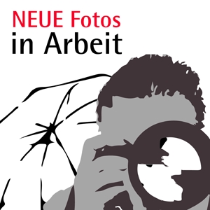 Handlaufschild aus Folie, 4 x 18 cm, transparent Handlaufschild aus Folie, 4 x 18 cm, transparent